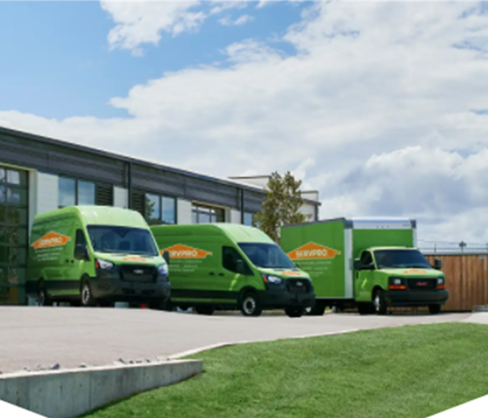 fleet of green vans