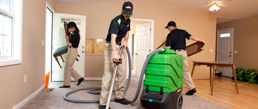Mcdonough, GA cleaning services